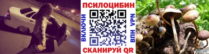 ссылка на мегу tor Карабулак Галлюциногенные грибы Psilocybine cubensis наркота